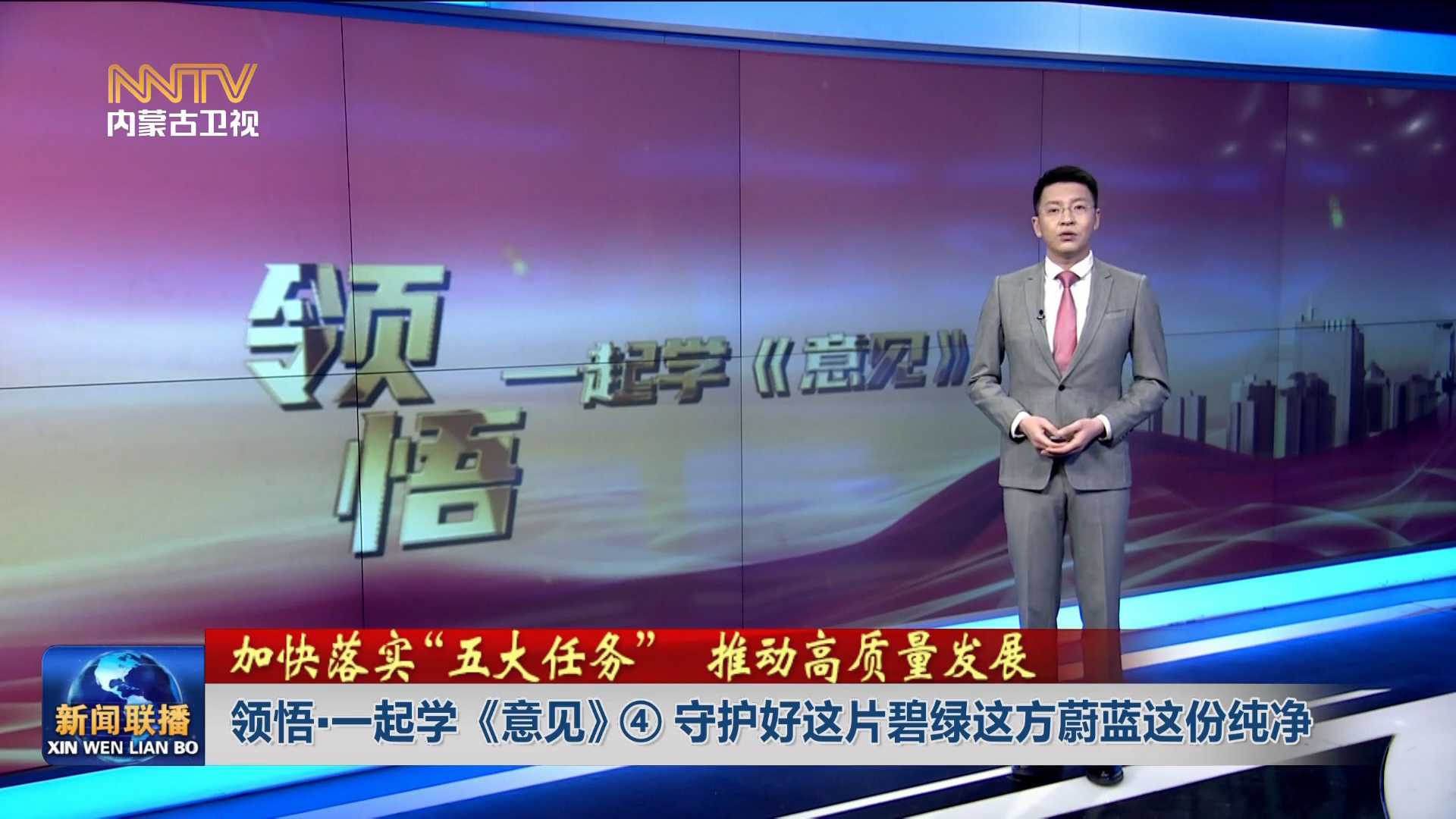 加快落实“五大任务” 推动高质量发展丨 领悟·一起学《意见》④守护好这片碧绿这方蔚蓝这份纯净